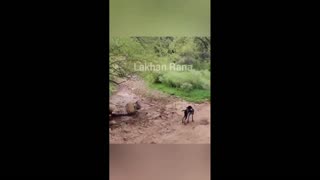 Daddy Goat 24/7 - Out Of Context Memes & Videos