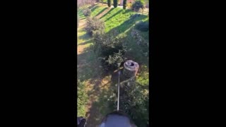 Daddy Goat 24/7 - Out Of Context Memes & Videos