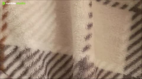 violence against women I just can't get behind