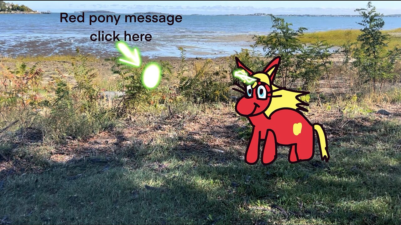 Red pony message