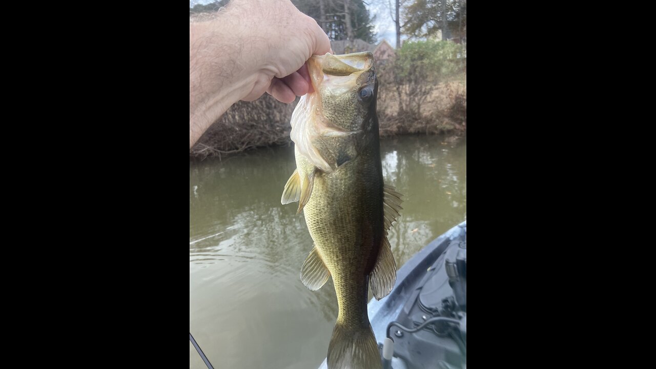 Last week before Christmas 2025, 1x, 2# ish