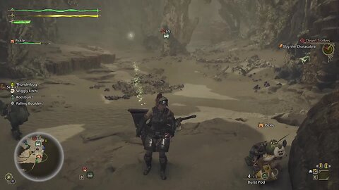 Gettin Wild in Monster Hunter