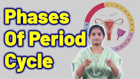 Phases Of Women Period Cycle Female Menstrual Flow Monthly Cycle Homeopathy Treatment Medicine Cure