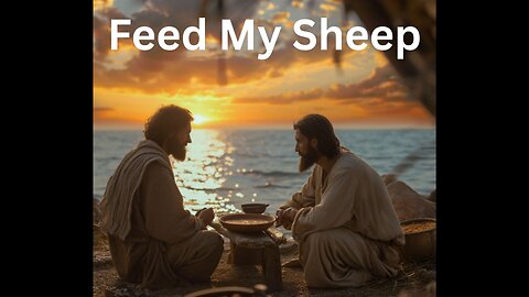 Feed my Sheep