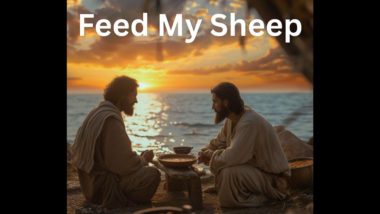 Feed my Sheep