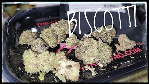 Dr Ganja Flower Review of AMAZING Biscotti Strain