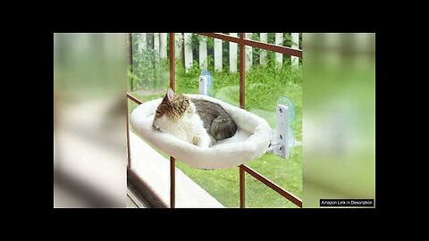 AMOSIJOY Cordless Cat Window Perch, Cat Hammock for Window with 4 Strong Review