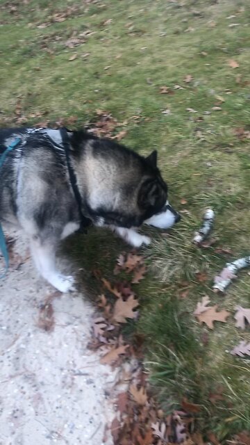 Thursday November 20, Listen to your father’s instructions.