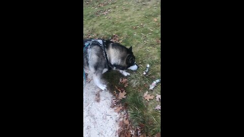 Thursday November 20, Listen to your father’s instructions.