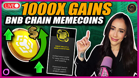 1000X CRYPTO GAINS?! BNB Chain Memecoin Season Is HERE!