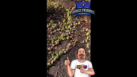 Garden 2025 UPdate 11