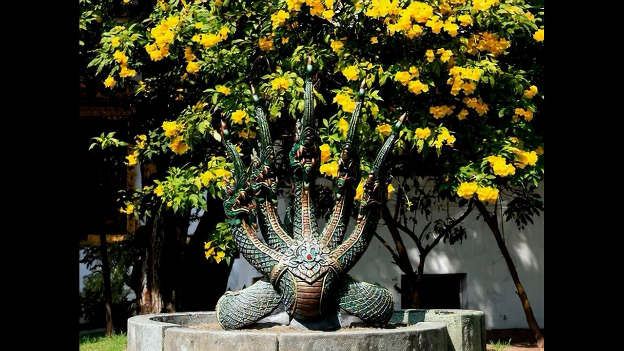 Cabezas de la serpiente