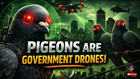 Pigeons Are Government Drones