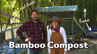 He Discovered The Power of Bamboo - It Supercharged Their Market Garden