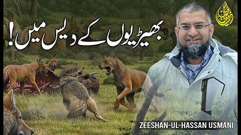 In the Land of Wolves | بھیڑیوں کے دیس میں | भेड़ियों के देश में | Zeeshan Usmani