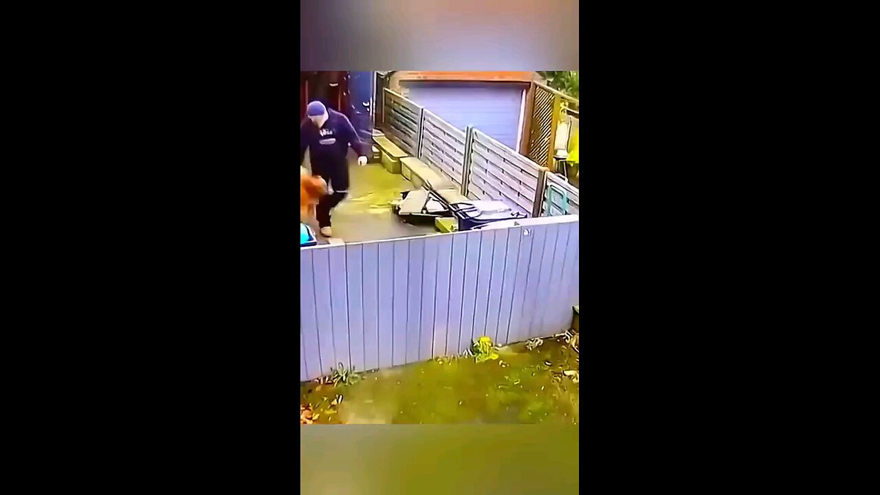 Doggy 🐕 Style