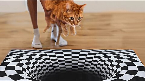 Whiskers and Wonders: My Cat's Adventure Through the Optical Illusion Maze"