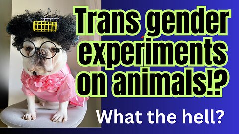 Millions spent on trans gender experiments on....... dogs and monkeys??