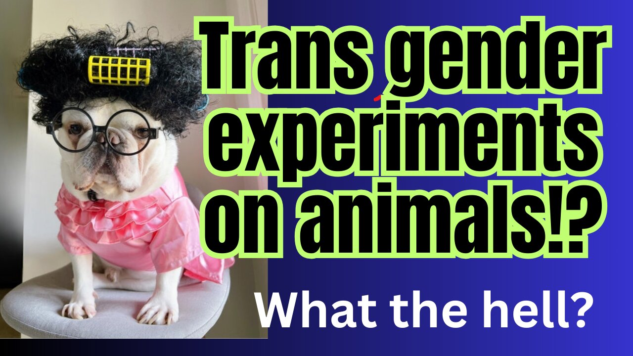 Millions spent on trans gender experiments on....... dogs and monkeys??