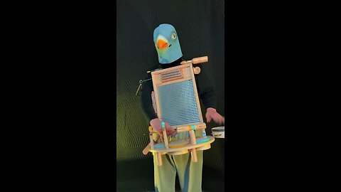 Pigeon galloping beat