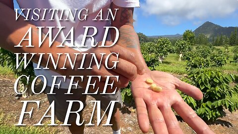 Chef Dad Checks Out Navarro Farms Coffee: Award-Winning Hawaiian Flavor and a New Ingredient!