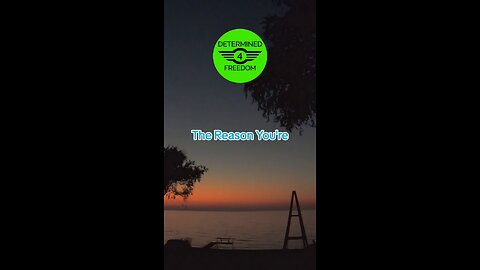 The Reason You're...