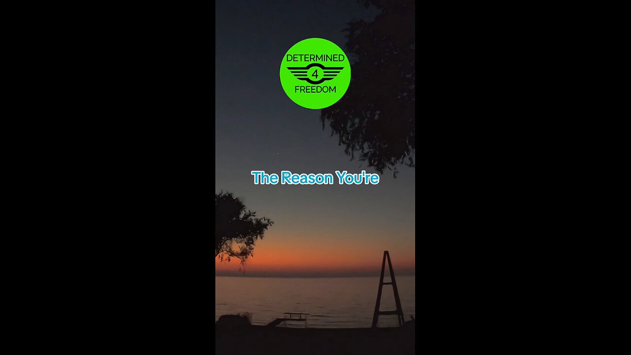 The Reason You're...