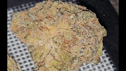 Azztecmedia short view of soma og