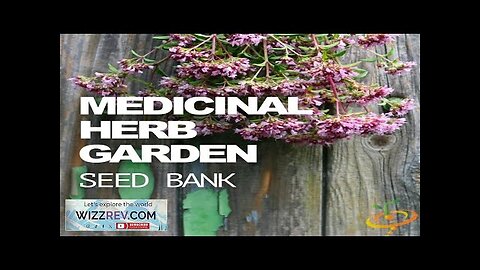 All-in-One Medicinal Herb Garden Seed Bank – Seeds Review