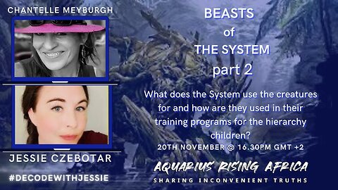 BEASTS OF THE SYSTEM - part 2 - with JESSIE CZEBOTAR