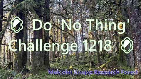 🪞 Do 'No Thing' Challenge 1218 🪞 New Earth Creations #meditationshorts #donothing #mindfulness