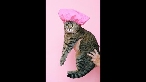 If you want to really smile, don't miss this video.