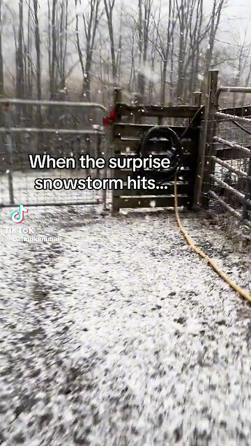 Animal Farm meets Grand Solar Minimum