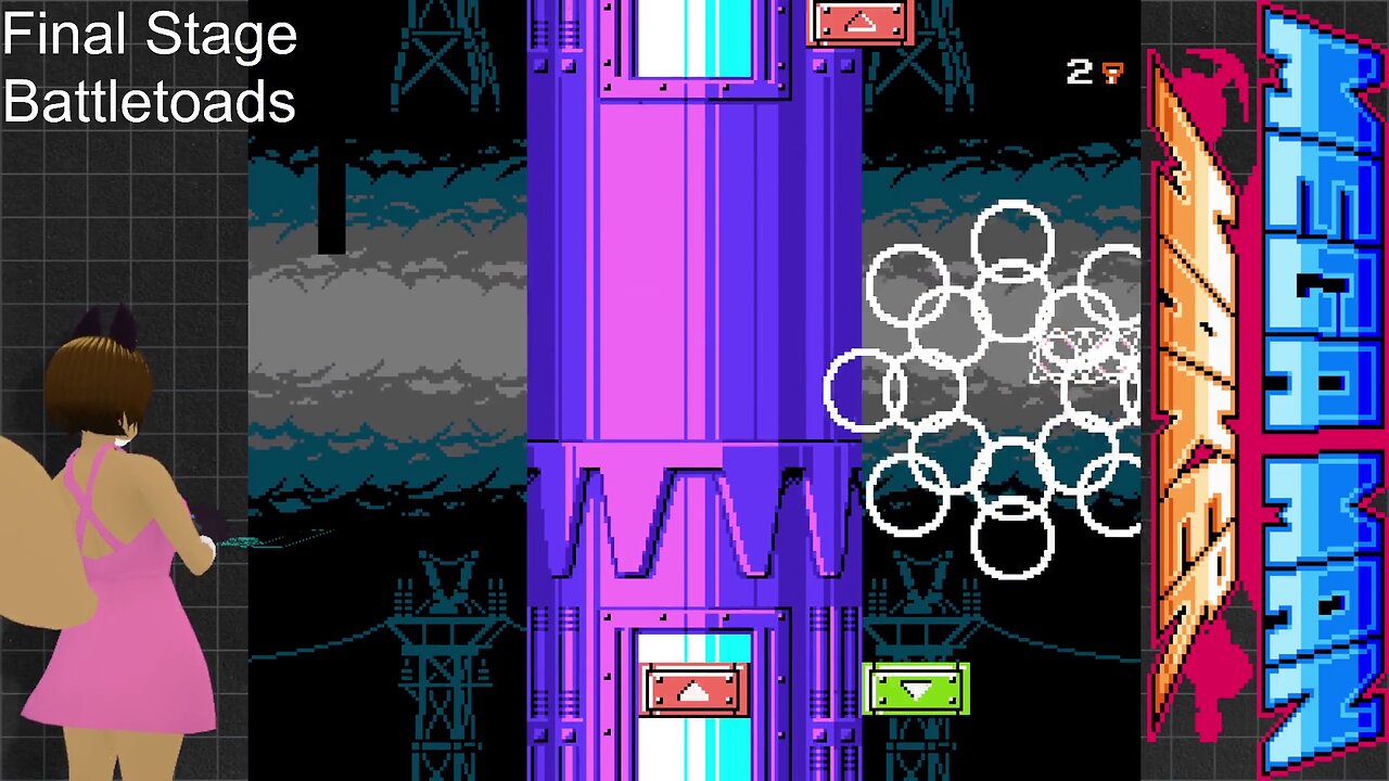 Final Stage - Battle Toads: Mega Man Maker