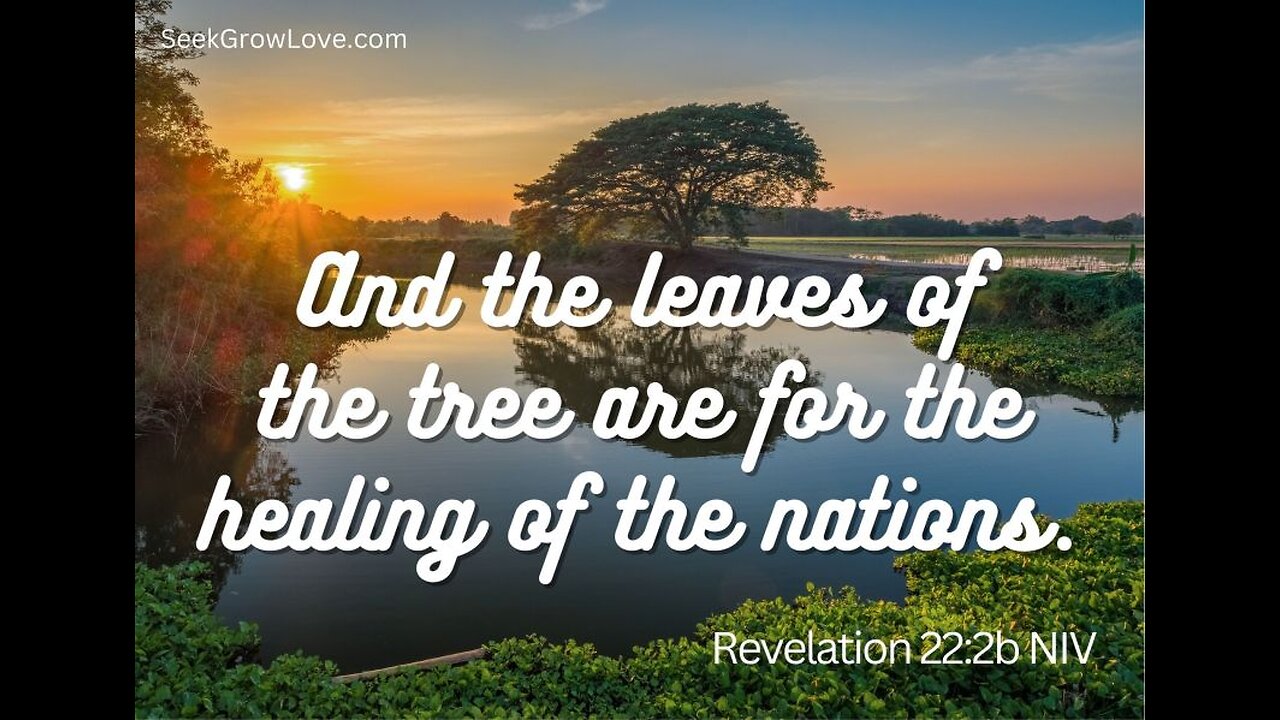 Advent Midweek Vespers I