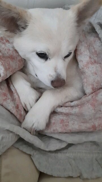 20251010. God Is Love.