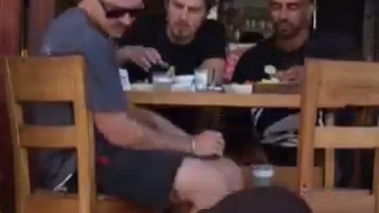 stray dog's reaction to being petted