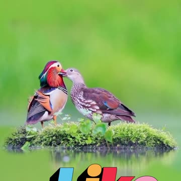 😊 177 LA ENERGÍA QUE DAS ES LA QUE RECIBES 😊