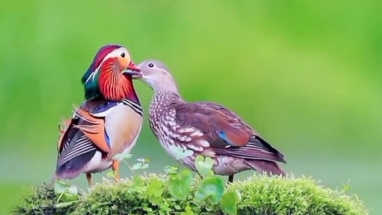 😊 177 LA ENERGÍA QUE DAS ES LA QUE RECIBES 😊