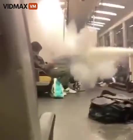 NYC Stopped Putting Fire Extinguishers On Their Subways Because Of NIGGERS Like This.mp4