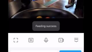 🤯💻 This Smart Pet Feeder is a GAME CHANGER! | FunFM