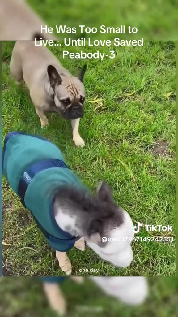 PEABODY SUNDAY 11/9/25 {PT 3}