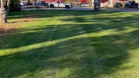 RANDOM HOTEL LAWN MOWING UPLOAD