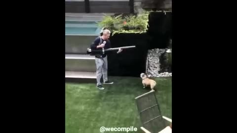 Best Short Funny Videos Compilation