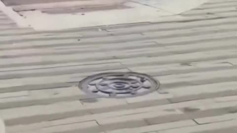 In Kannapolis, North Carolina,