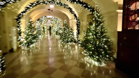 This year the white house outdid itself