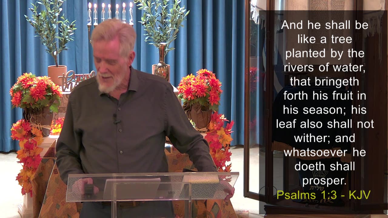 11-23-2025 A Delight to Behold