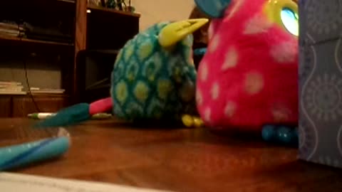 Pulling out all the Furbys for Xmas celebration!!!