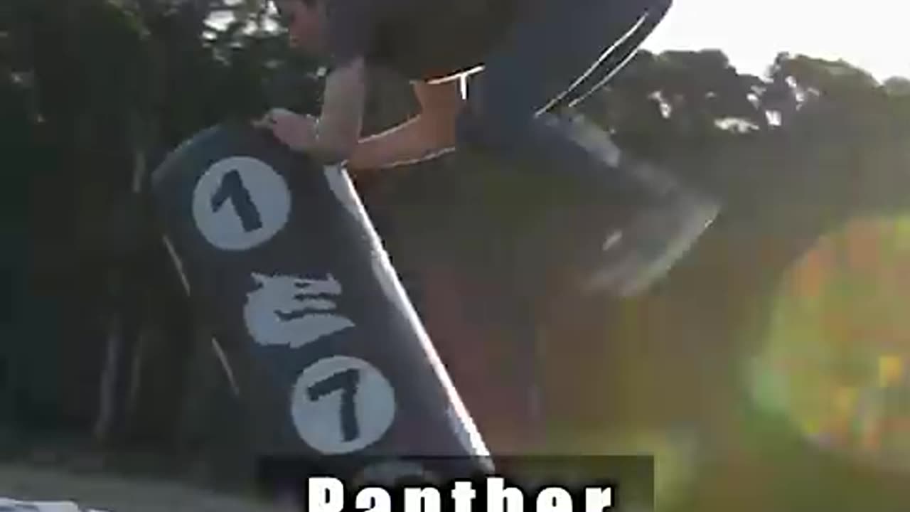 How Animals Fight.