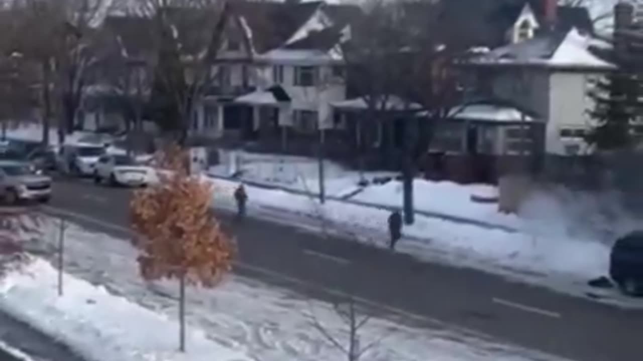 Different view and she did hit the ICE agent